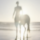 Image for article titled A Deep Dive Into This Burberry Commercial With a Horse and Adam Driver